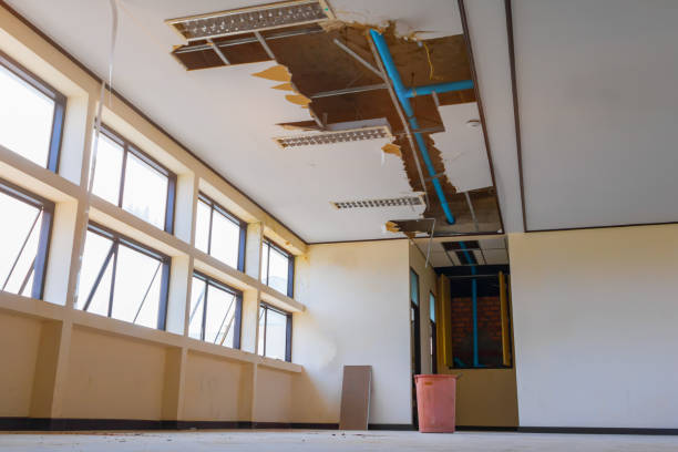  Bladensburg, MD Water damage restoration Pros