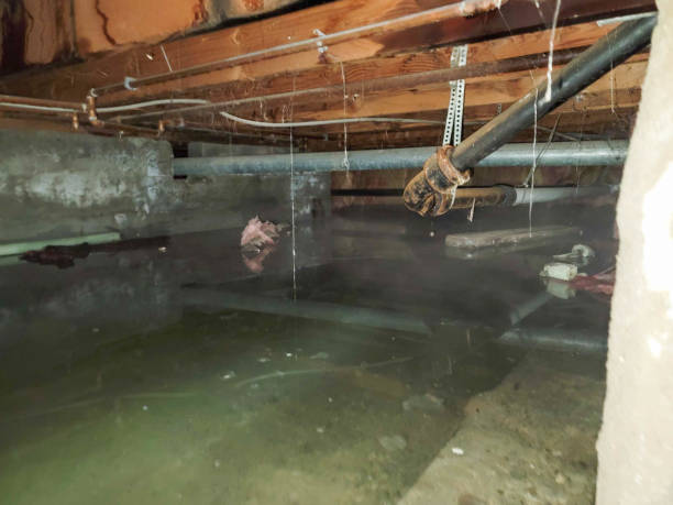 Best Water damage restoration near me  in Bladensburg, MD