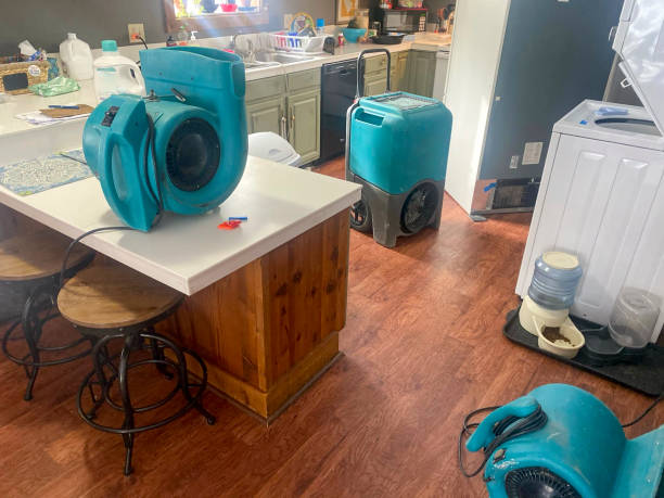 Best Sewage cleanup and water damage restoration  in Bladensburg, MD