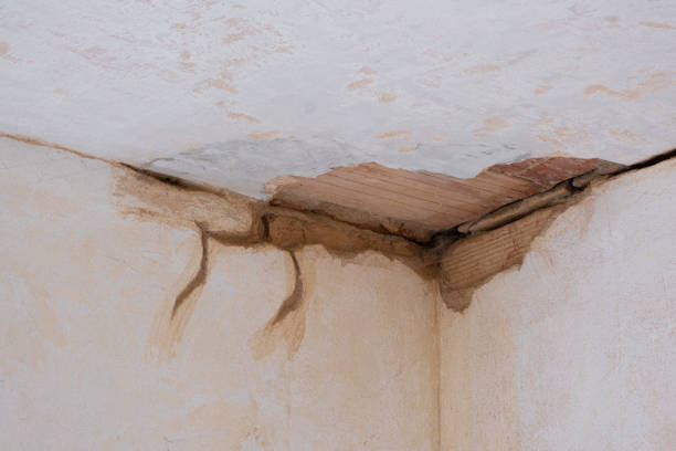 Best Water damage restoration mold remediation  in Bladensburg, MD